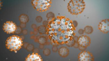 Expansion of SARS-CoV-2 Testing to Include a Total Antibody Test to Aid in the COVID-19 Pandemic
