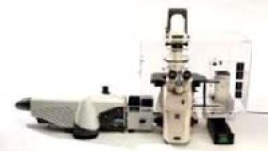 Fully Enclosed Incubation Chamber Launched at Neuroscience 2006