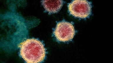 Genome Study offers Clues into SARS-CoV-2 Evolution
