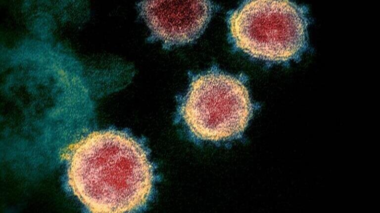 Genome Study offers Clues into SARS-CoV-2 Evolution