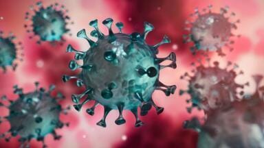 Identifying Targets for Development of COVID-19 Drugs and Vaccines