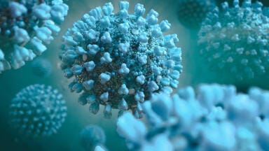 FDA Provides Emergency Use Authorisation for Serological Test to Identify COVID-19 Antibodies