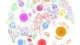 Precision Medicine Mining of UK Biobank Finds 13 Human COVID Risk Genes and Identifies 59 Drugs with Potential to Improve Survival in Severe COVID-19 Patients and Sepsis