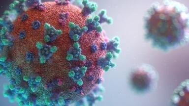 New Human COVID-19 Antibody Library Announced