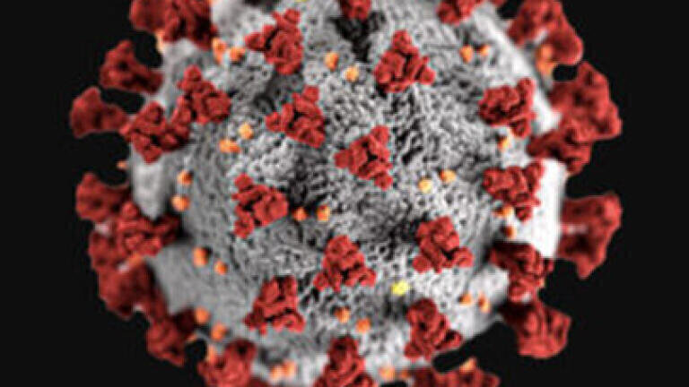 COVID-19 Antigen Diagnostic Collaboration Announced