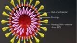 New Recombinant Eukaryotic SARS-CoV-2 S1-S2 Spike Proteins for Improved Diagnostic Testing of COVID19