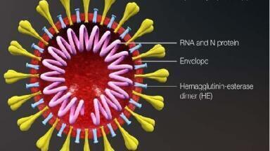 New Recombinant Eukaryotic SARS-CoV-2 S1-S2 Spike Proteins for Improved Diagnostic Testing of COVID19