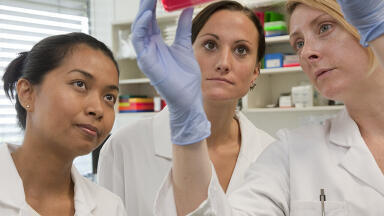 New Medium to Boost and Optimise the Production of AAV in Sf9 Insect Cells Announced