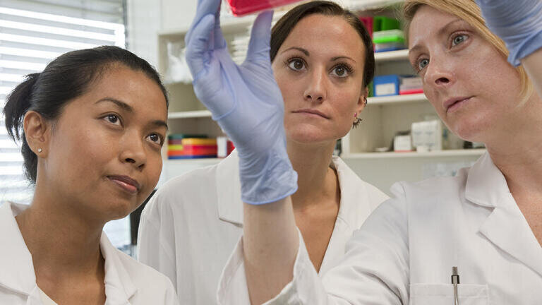 New Medium to Boost and Optimise the Production of AAV in Sf9 Insect Cells Announced
