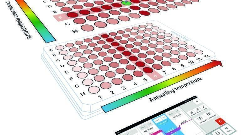 Innovative 2D-Gradient for Enhanced PCR Optimisation