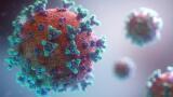 Expanded Range of COVID-19 Testing Methods for Clinical Trials Announced