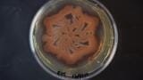 Science as Art – Engineering living Materials and Patterns