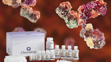 ChIP Kits for High Throughput Antibody Validation