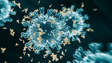 SARS-CoV-2 IgG Antibody Test now Available in Markets Accepting the CE Mark