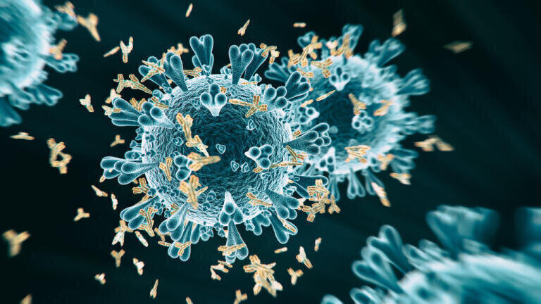 SARS-CoV-2 IgG Antibody Test now Available in Markets Accepting the CE Mark