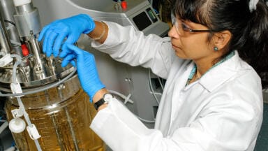 New Media and Feeds Maximise Yield and Batch-to-Batch Consistency to Support Recombinant Protein Production Scale-Up