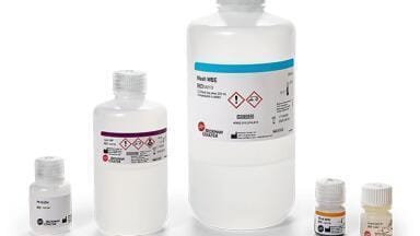 New, Timely Solution for High-throughput RNA Extraction from Viral Samples Introduced