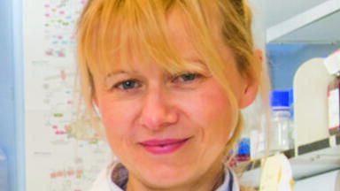 Cell Function Discovery brings hope for RA Sufferers