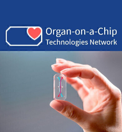 UK Organ-on-a-Chip Network Symposia