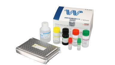 HUMAN and Wantai Join Forces in the Fight Against COVID-19