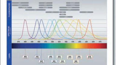 Adaptable Light Source for Microscopes