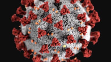 Collaboration for the Detection of SARS-COV-2 Coronavirus in Wastewater Announced