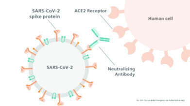 Public Health England Study Evaluates Siemens Healthineers SARS-CoV-2 Antibody Test Against Other Leading Antibody Assays