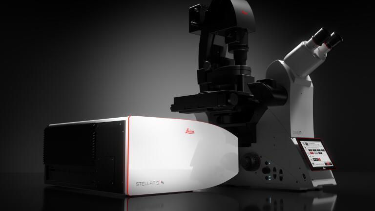 The STELLARIS 5 system is part of the new confocal microscopy platform STELLARIS from Leica Microsystems.