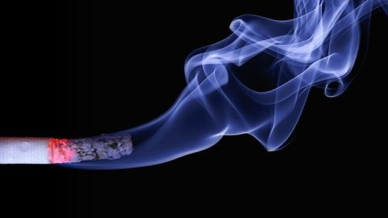 Which Social and Behavioural Factors Have the Closest Link with Death?