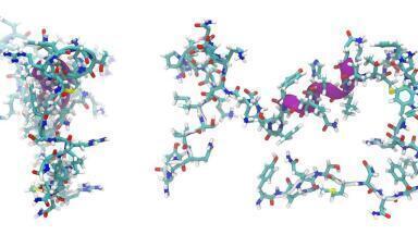 Can Designer Peptides Block Viruses?