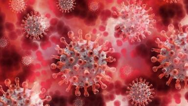 Can COVID-19 Affect the Brain?
