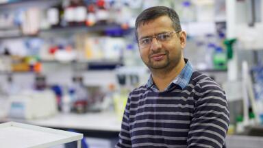 Target System Shown to Attack K-Ras Protein