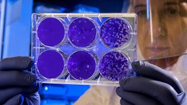 Rapid Point-of-Care Testing Using Screen-printed Electrodes