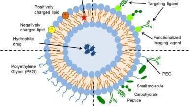 How the Adaptability of Liposomes Assists in Overcoming Today’s Drug Delivery Challenges