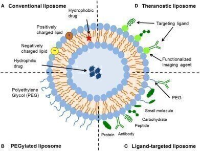 How the Adaptability of Liposomes Assists in Overcoming Today’s Drug Delivery Challenges