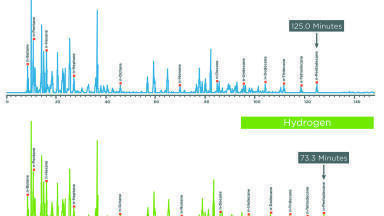 Streamline your GC workflow with a Precision gas generator