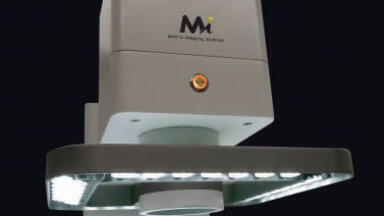 Get the Bigger Picture in Digital Pathology