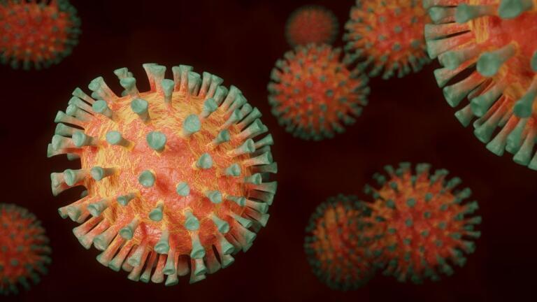 SARS-Cov-2 and COVID-19 - What's the Link?