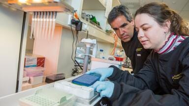 Pipetting Robot Provides Flexibility in Virology Research