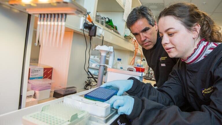 Pipetting Robot Provides Flexibility in Virology Research