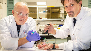 Singapore Scientists Develop ‘biorubber’ Glue for Faster Surgical Recovery