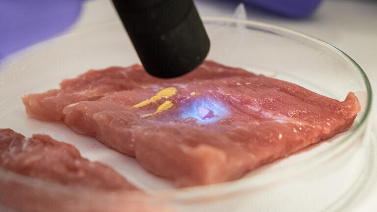 Liquid CaproGlu applied to meat being cured by UV light, turning into biorubber.