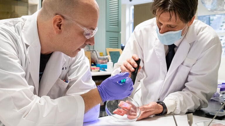 NTU materials scientists Associate Professor Terry Steele (right) and Dr Ivan Djordjevic (left) working in the lab and demonstrating the use of CaproGlu on slices of meat bought from a supermarket.