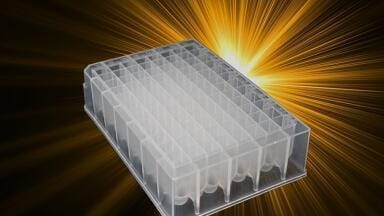 Sterile Deep Well Plates for Life Science Applications
