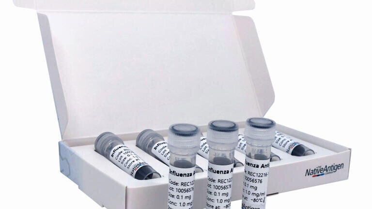 Custom Service for Influenza Antigens Introduced