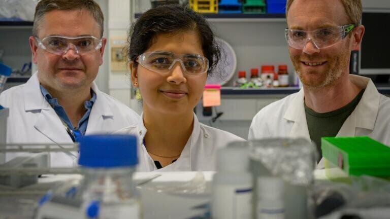 Spinout Pursues Novel Approach for Inflammatory Conditions