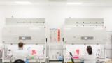 BIOX Specialist Joins Biomarker-based Diagnostics Group