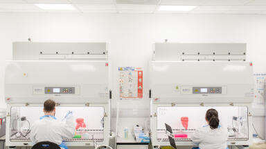 BIOX Specialist Joins Biomarker-based Diagnostics Group