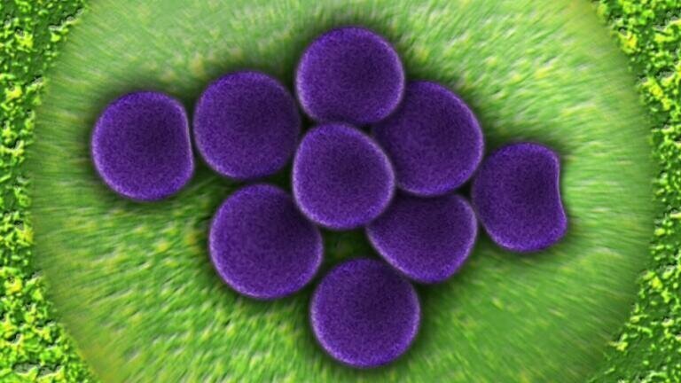 Properties of Superbug Killer Revealed by STFC Imaging Cluster