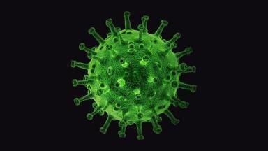 Why Are COVID-19 Infections So Varied?